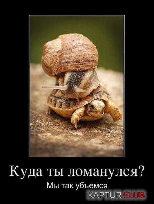 8f6623f3aa1097ff969d1436c4a.jpg | Рено Каптур Клуб Россия | Форум KAPTUR.SU