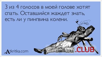 8fd7411e6ae3f6ab6096e4a3037.jpg | Рено Каптур Клуб Россия | Форум KAPTUR.SU