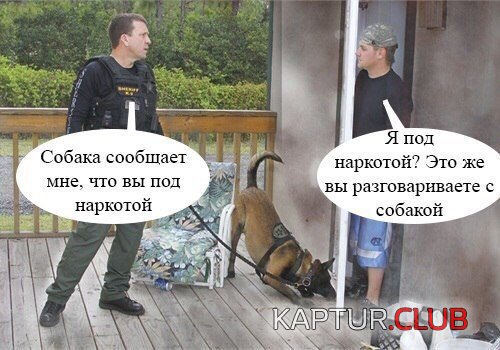 8fff968d46a398266a637d5657a.jpg | Рено Каптур Клуб Россия | Форум KAPTUR.SU