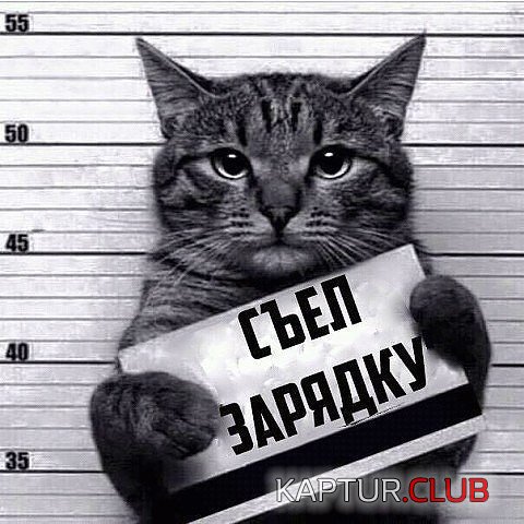 8LbIC6VuXso.jpg | Рено Каптур Клуб Россия | Форум KAPTUR.SU