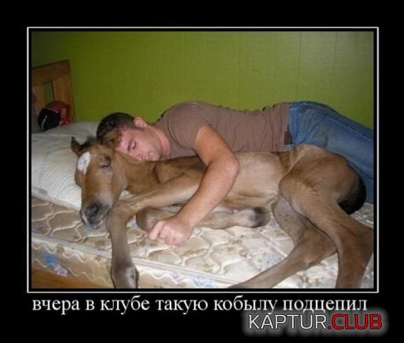 9.png | Рено Каптур Клуб Россия | Форум KAPTUR.SU