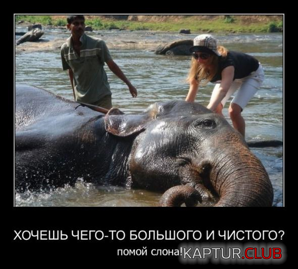 9.png | Рено Каптур Клуб Россия | Форум KAPTUR.SU
