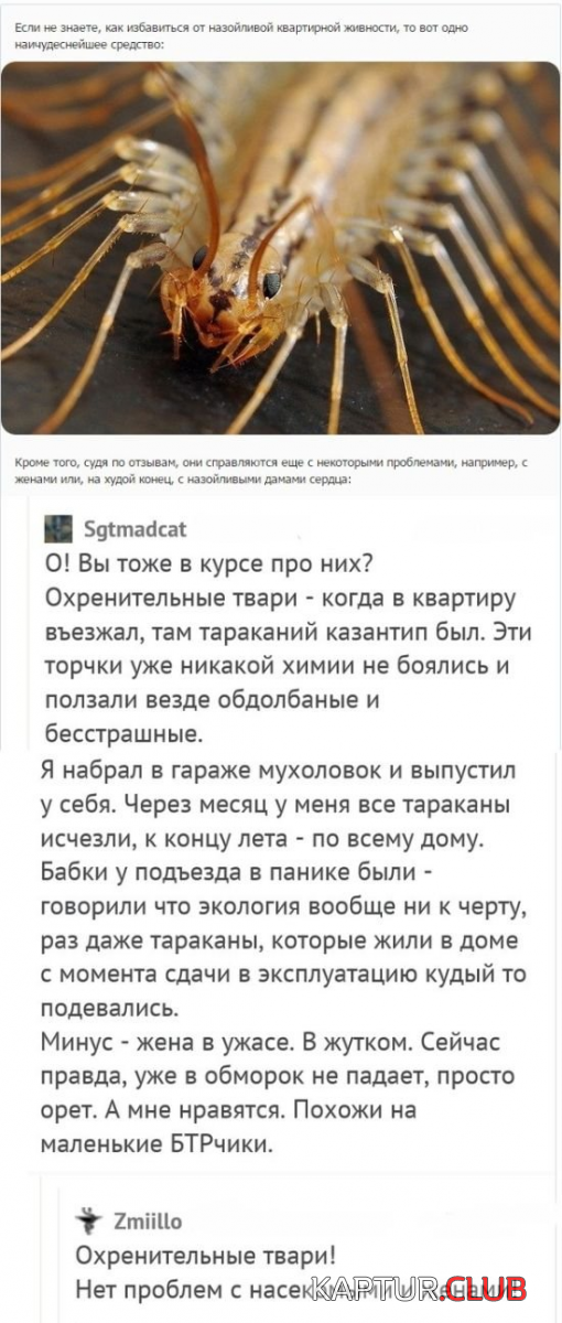 9.png | Рено Каптур Клуб Россия | Форум KAPTUR.SU