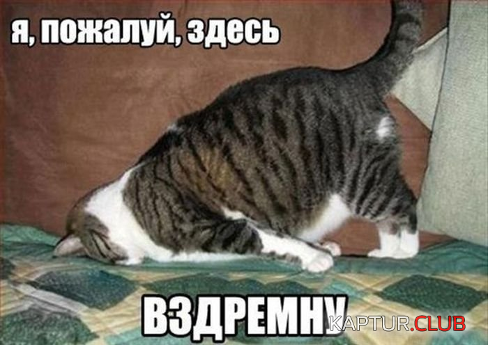 9.png | Рено Каптур Клуб Россия | Форум KAPTUR.SU