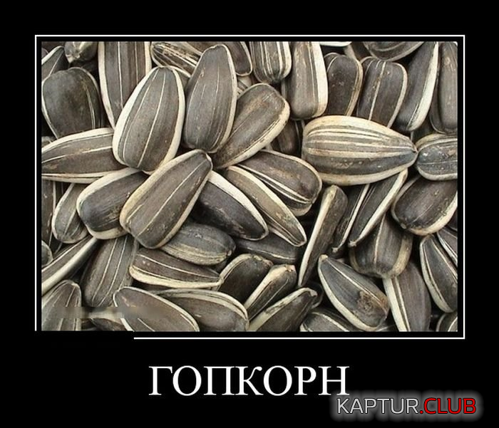 9.png | Рено Каптур Клуб Россия | Форум KAPTUR.SU