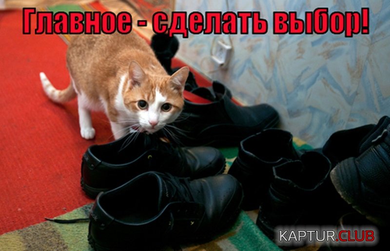 9023cb618d4591adfb5a9b9d8cf.jpg | Рено Каптур Клуб Россия | Форум KAPTUR.SU
