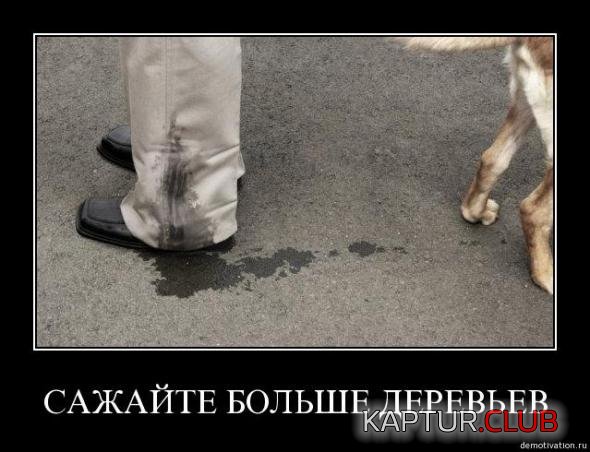 907a76cf4cca03c3a5d9925f2e4_prev.jpg | Рено Каптур Клуб Россия | Форум KAPTUR.SU