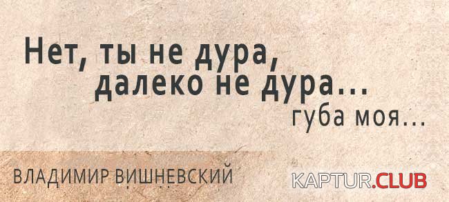 907f538c528c58c0a43eec14f28.jpg | Рено Каптур Клуб Россия | Форум KAPTUR.SU