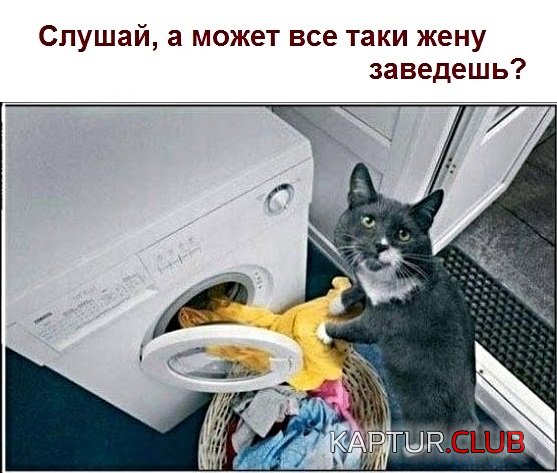 9082929a0ed08d83f4f2b611d47.jpg | Рено Каптур Клуб Россия | Форум KAPTUR.SU