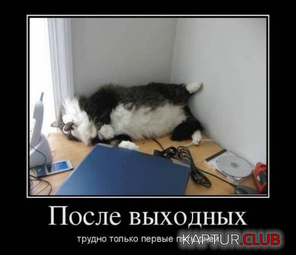 90c73faee005dfd31233fc8cf00_prev.jpg | Рено Каптур Клуб Россия | Форум KAPTUR.SU