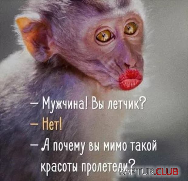 9125ad37aa0ff42b70f001e3b7d.jpg | Рено Каптур Клуб Россия | Форум KAPTUR.SU