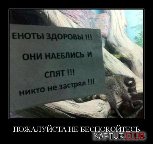 913e4e4a990b860fa92b9eb1430_prev.jpg | Рено Каптур Клуб Россия | Форум KAPTUR.SU