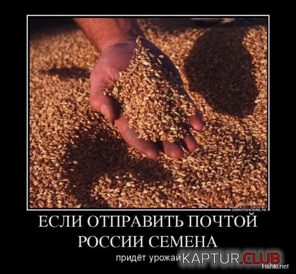 91b3cff75915cef2cf5cf0a0e24_prev.jpg | Рено Каптур Клуб Россия | Форум KAPTUR.SU