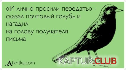 9217131a9c3f048c0f739c4077c.jpg | Рено Каптур Клуб Россия | Форум KAPTUR.SU