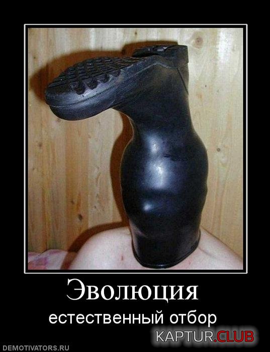 9288f70dfaec507666f69fbcd9c.jpg | Рено Каптур Клуб Россия | Форум KAPTUR.SU