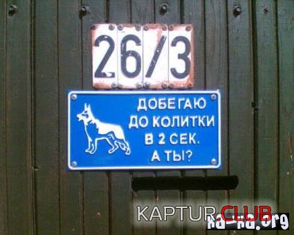 92ca178928b9a20d1417aac934115929_full.jpg | Рено Каптур Клуб Россия | Форум KAPTUR.SU