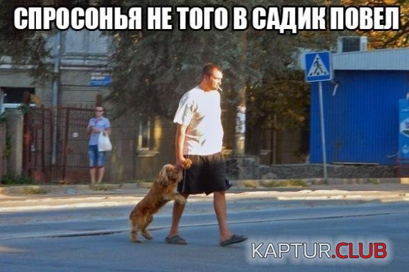 92dfd4d58f6933e8dcbc3d46663_prev.jpg | Рено Каптур Клуб Россия | Форум KAPTUR.SU