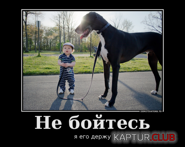 9331b3cd8da5ecd539d340f3860_prev.png | Рено Каптур Клуб Россия | Форум KAPTUR.SU