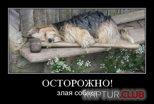 9364c4133f58b265c251b429749.jpg | Рено Каптур Клуб Россия | Форум KAPTUR.SU