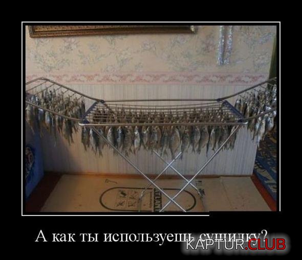 940efeb20c07485627b9027fbe3_prev.jpg | Рено Каптур Клуб Россия | Форум KAPTUR.SU