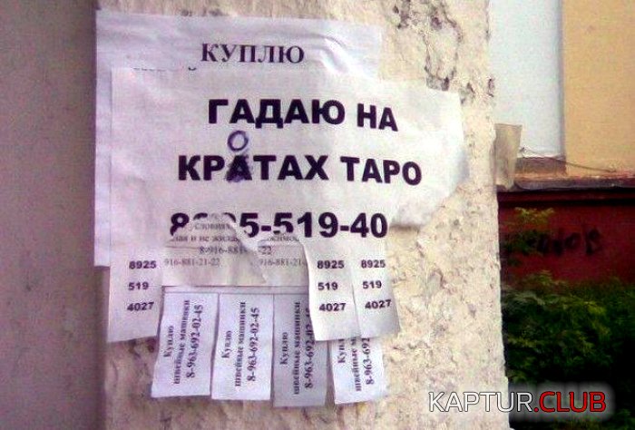 941c9005adc92901ee8bee99725.jpg | Рено Каптур Клуб Россия | Форум KAPTUR.SU