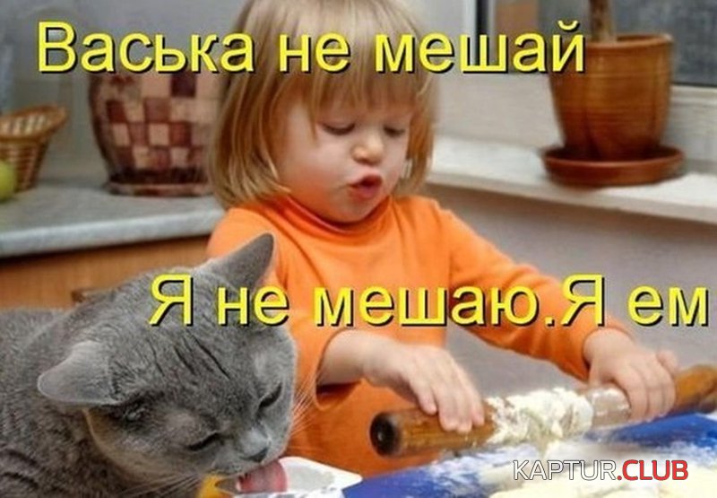 943a13c21a1e4340660ca63e64f.jpg | Рено Каптур Клуб Россия | Форум KAPTUR.SU