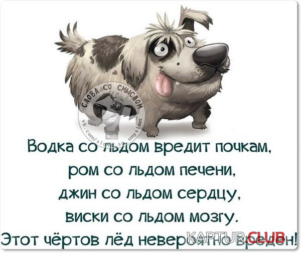 94fd8f08fa1537313603d64072c.jpg | Рено Каптур Клуб Россия | Форум KAPTUR.SU