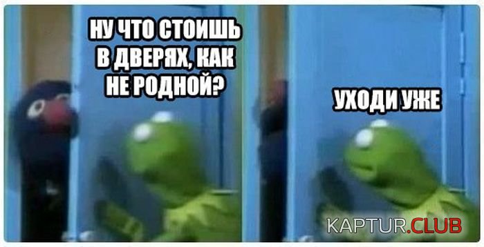 9531444.jpg | Рено Каптур Клуб Россия | Форум KAPTUR.SU