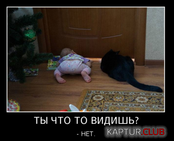 955b431d8814655aa379d1d36dd_prev.png | Рено Каптур Клуб Россия | Форум KAPTUR.SU