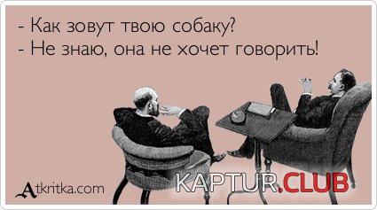 95625d8a8eb9f9fc51c6d12b049.jpg | Рено Каптур Клуб Россия | Форум KAPTUR.SU
