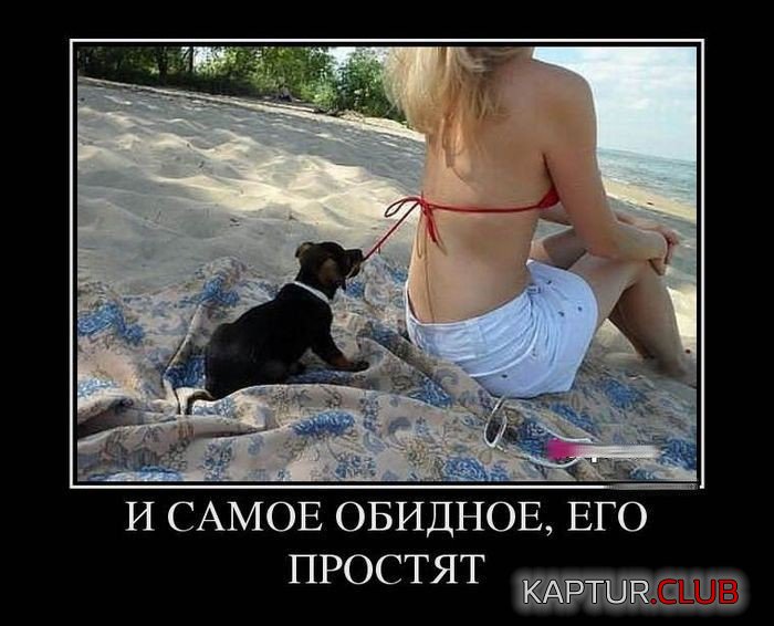 95ce25c12a9453f0c17775b1b4d.jpg | Рено Каптур Клуб Россия | Форум KAPTUR.SU