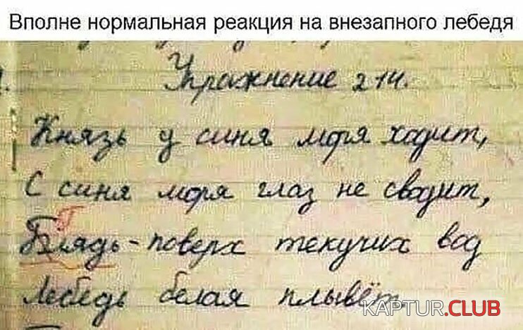 95e74d6b0de8a1b2ad86bd082ad.jpg | Рено Каптур Клуб Россия | Форум KAPTUR.SU
