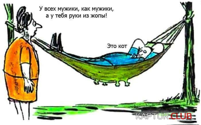 96204cad0d321afb0cd1b2e390a.jpg | Рено Каптур Клуб Россия | Форум KAPTUR.SU