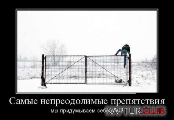976c4a95f92fb127eb589435b9c_prev.jpg | Рено Каптур Клуб Россия | Форум KAPTUR.SU