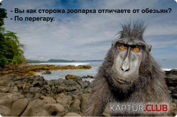 977e89fd5c5daa882199582d9f7.jpg | Рено Каптур Клуб Россия | Форум KAPTUR.SU