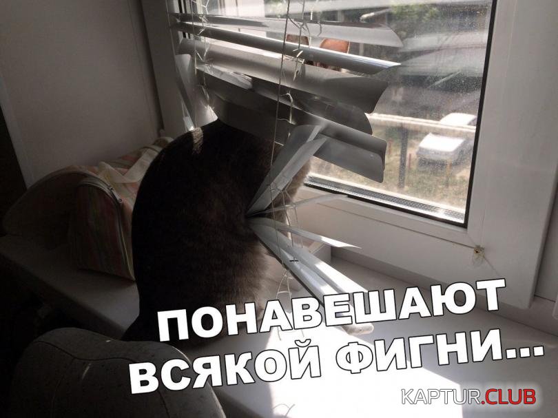9796c7db1bc6e33e3c0fb43b75b_prev.jpg | Рено Каптур Клуб Россия | Форум KAPTUR.SU