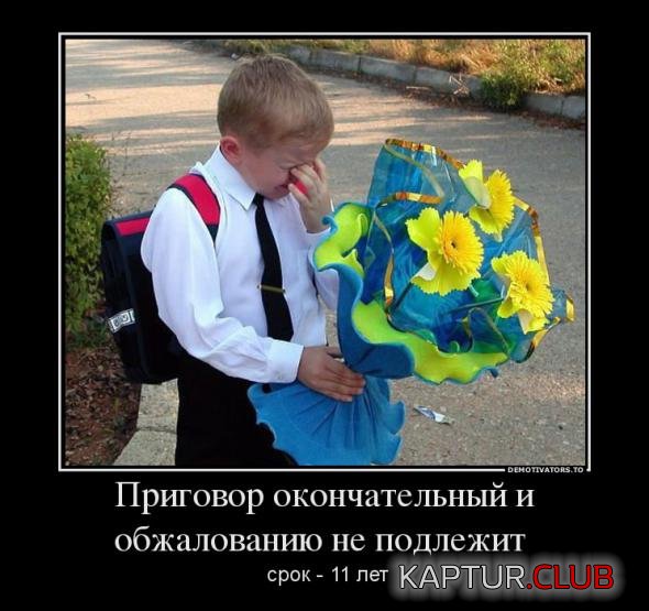 97bb5c5afc35b411e631ca139ad_prev.jpg | Рено Каптур Клуб Россия | Форум KAPTUR.SU