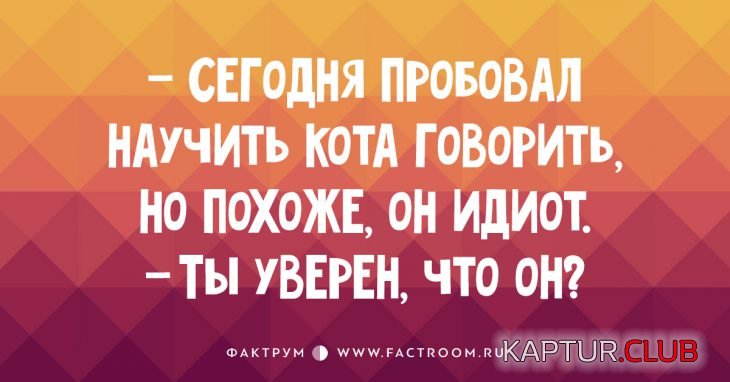 97d11fd64fa95c8799999ca22c4.jpg | Рено Каптур Клуб Россия | Форум KAPTUR.SU