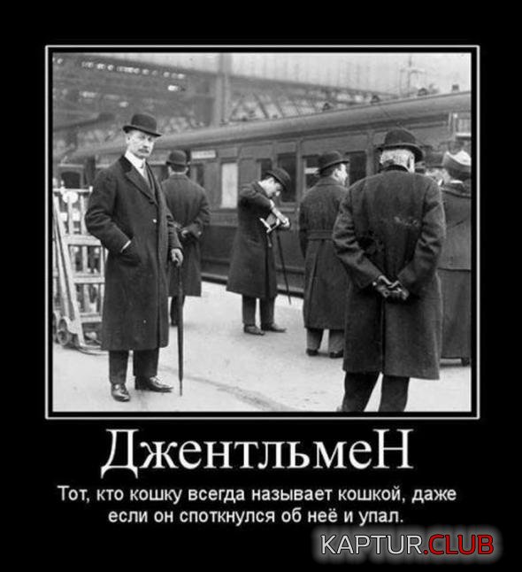 9811ee11f8e81c6bd0503c3d8e6_prev.jpg | Рено Каптур Клуб Россия | Форум KAPTUR.SU