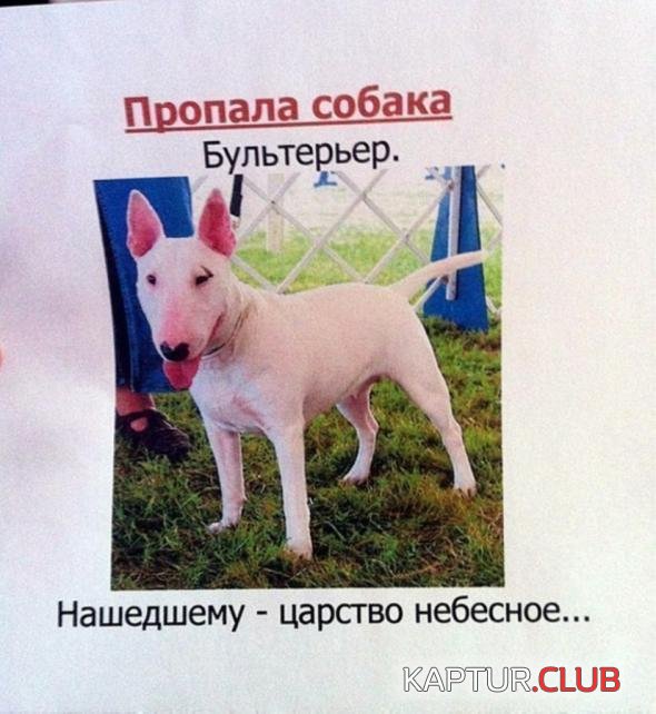 987cb5f43bd8f4c867b9c22828b_prev.jpg | Рено Каптур Клуб Россия | Форум KAPTUR.SU