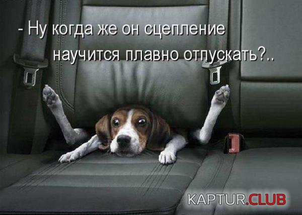 98938fa1654bd530c941c032bcb.jpg | Рено Каптур Клуб Россия | Форум KAPTUR.SU