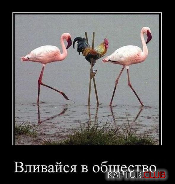 98c2cfd03928a954ea418e0e2d8_prev.jpg | Рено Каптур Клуб Россия | Форум KAPTUR.SU