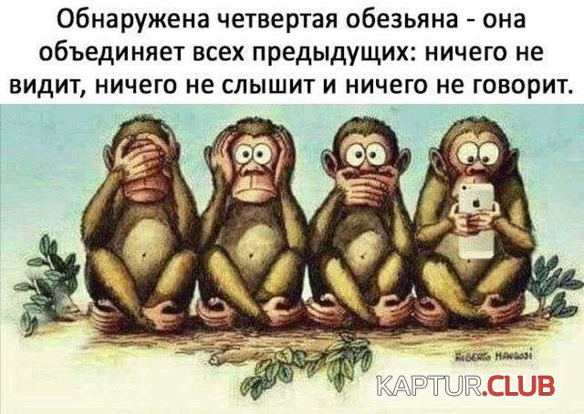 98f5909466b5433bad8c379dc2a.jpg | Рено Каптур Клуб Россия | Форум KAPTUR.SU