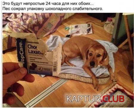 994b11c9c63ab168bdf7416bc2d.jpg | Рено Каптур Клуб Россия | Форум KAPTUR.SU