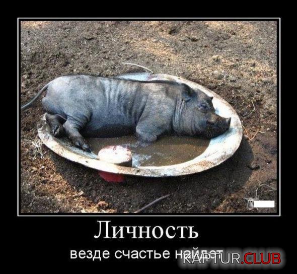 995c2eea0fc57ed2acb7b092941_prev.jpg | Рено Каптур Клуб Россия | Форум KAPTUR.SU