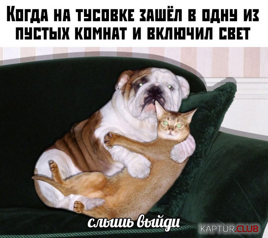 997.jpg | Рено Каптур Клуб Россия | Форум KAPTUR.SU