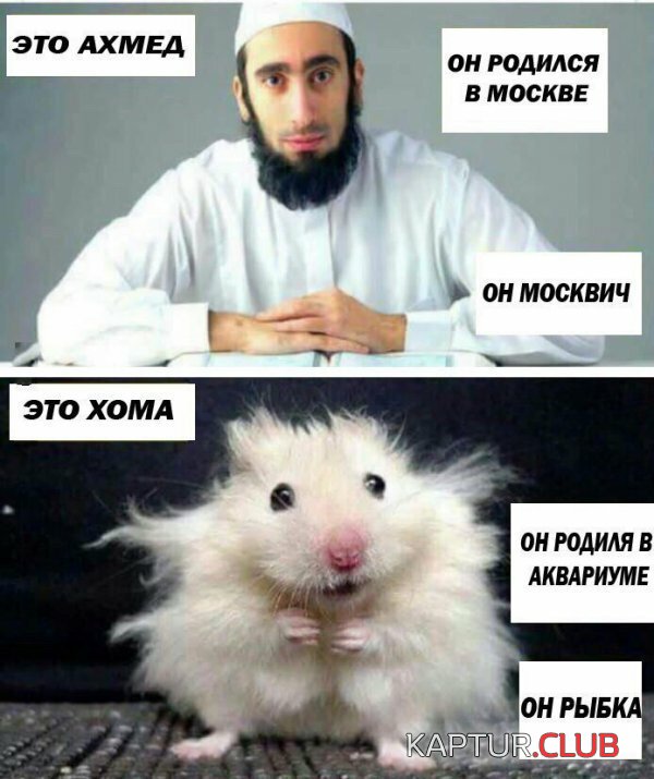 9a57d99df7778fa7da39097892a.jpg | Рено Каптур Клуб Россия | Форум KAPTUR.SU