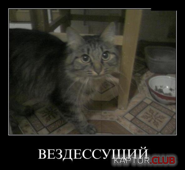 9a5c07f6a46534dc5c65cb78315_prev.jpg | Рено Каптур Клуб Россия | Форум KAPTUR.SU