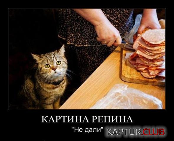 9a5f47caeecb561daa195921074_prev.jpg | Рено Каптур Клуб Россия | Форум KAPTUR.SU