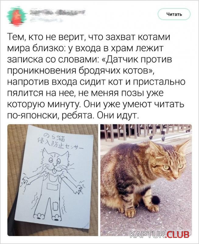 9aaf6083687115ec2194786c1f8_prev.jpg | Рено Каптур Клуб Россия | Форум KAPTUR.SU
